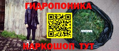 молекула духа Рязань