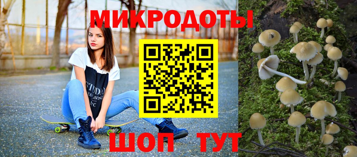 Галлюциногенные грибы Psilocybine cubensis Сафоново